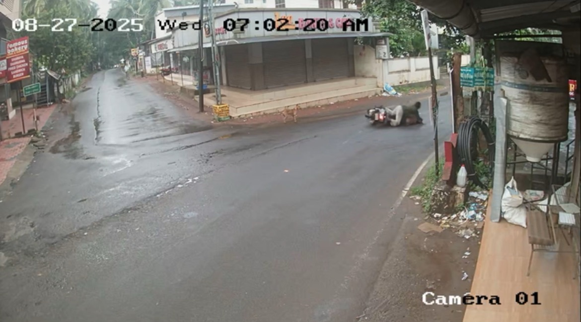 മലപ്പുറത്ത് നായ ചാടി ബൈക്ക് അപകടം; യുവാവ് ആശുപത്രിയിൽ