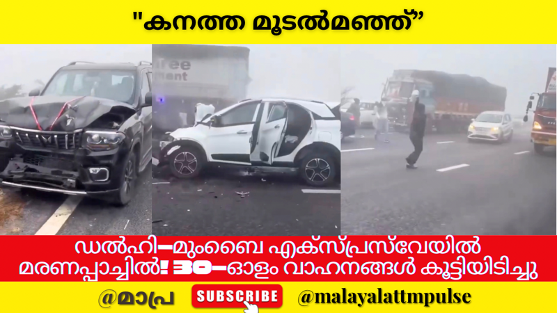 കനത്ത മൂടൽമഞ്ഞ്: ഡൽഹി-മുംബൈ എക്‌സ്പ്രസ്‌വേയിൽ വാഹനങ്ങൾ കൂട്ടിയിടിച്ച് വൻ അപകടം; 30 വാഹനങ്ങൾ കൂട്ടിയിടിച്ചു; മരണം നാലായി