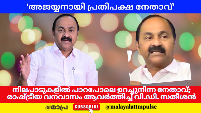 നിലപാടുകളിൽ പാറപോലെ ഉറച്ചുനിന്ന നേതാവ്; തദ്ദേശ തെരഞ്ഞെടുപ്പിലെ അട്ടിമറി വിജയത്തിലൂടെ സംസ്ഥാന കോൺഗ്രസിൽ അജയ്യനായി വി.ഡി. സതീശൻ